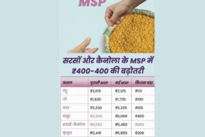 MSP Rate List PDF 2026 | फसल MSP दर सूची 2026 (Download)