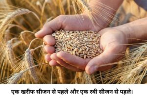 MSP Rate List PDF 2026 | फसल MSP दर सूची 2026 (Download)