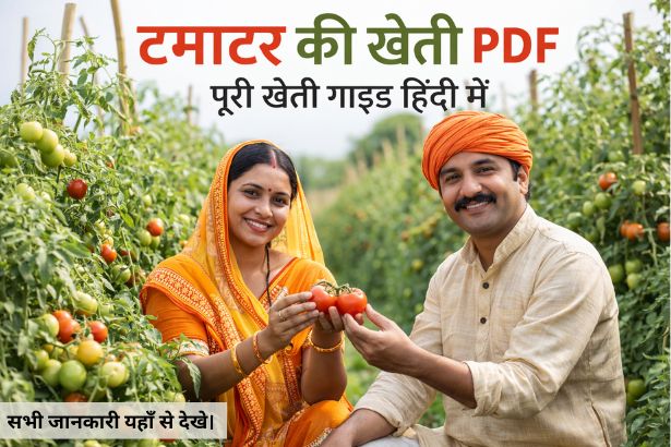 Tamatar Ki Kheti PDF पूरी खेती गाइड हिंदी में