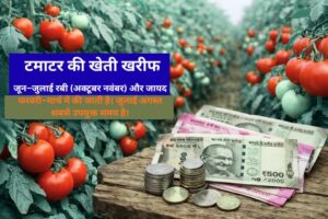 Tamatar Ki Kheti PDF: पूरी खेती गाइड हिंदी में