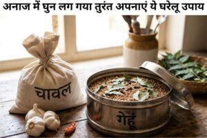 Ghar Se Ghun Bhagaye Upay 2026: अनाज और लकड़ी को सुरक्षित रखने के 10 असरदार घरेलू उपाय