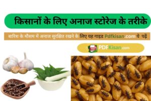 Ghar Se Ghun Bhagaye Upay 2026: अनाज और लकड़ी को सुरक्षित रखने के 10 असरदार घरेलू उपाय