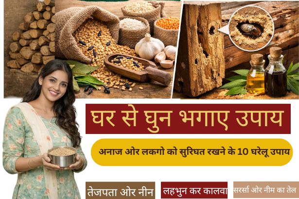 Ghar Se Ghun Bhagaye Upay 2026: अनाज और लकड़ी को सुरक्षित रखने के 10 असरदार घरेलू उपाय