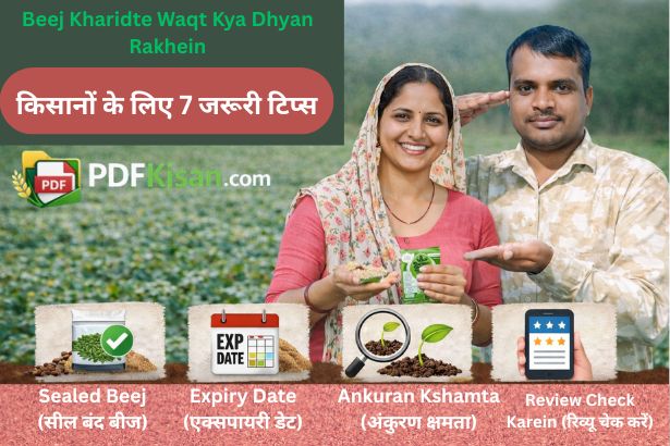 Beej Kharidte Waqt Kya Dhyan Rakhein? किसानों के लिए 7 जरूरी टिप्स