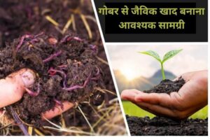 Sasti Jaivik Khaad Banane Ka Tarika: घर पर ऑर्गेनिक खाद कैसे बनाएं (पूरी जानकारी)