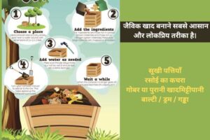 Sasti Jaivik Khaad Banane Ka Tarika: घर पर ऑर्गेनिक खाद कैसे बनाएं (पूरी जानकारी)