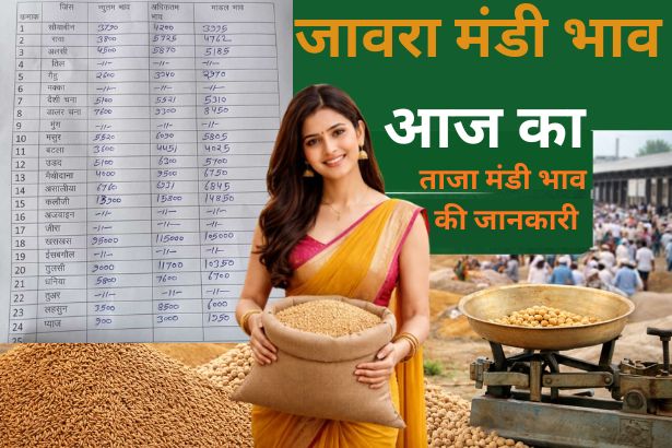 Jaora Mandi Bhav Today – ताज़ा मंडी भाव की जानकारी